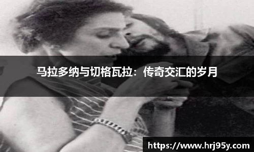 世俱杯官方